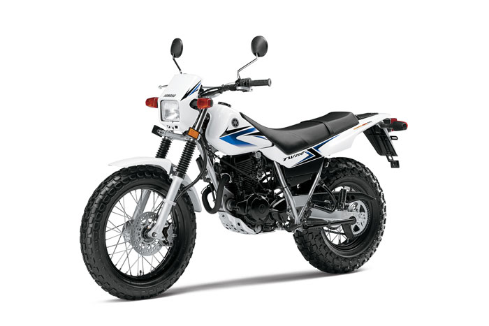 2013 Yamaha TW200 