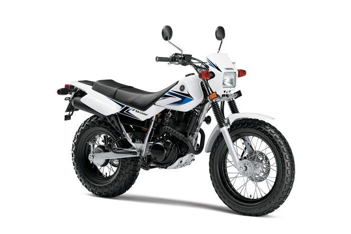 2013 Yamaha TW200 