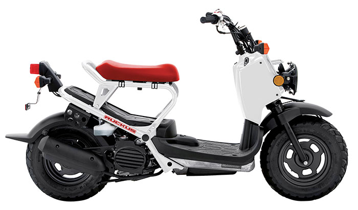 2014 Honda Ruckus 