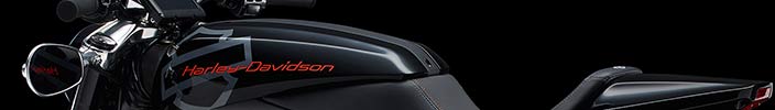 Super Secret Harley-Davidson "Project Live Wire" Breaks Cover