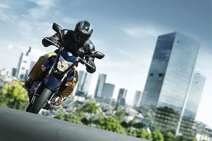 2015 Suzuki Inazuma GW250 