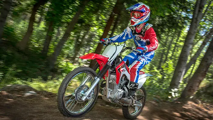 2016 Honda CRF110F 