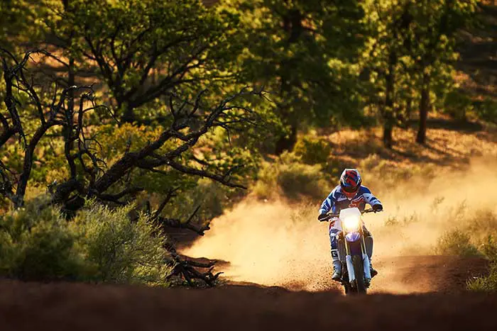 2017 Yamaha WR450F