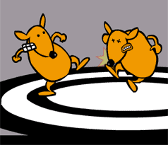 Kangaroo Boxing