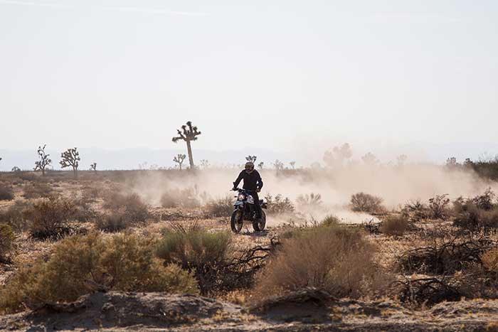 2017 Ducati Scrambler Desert Sled