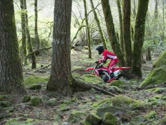 2019 Honda CRF450RX