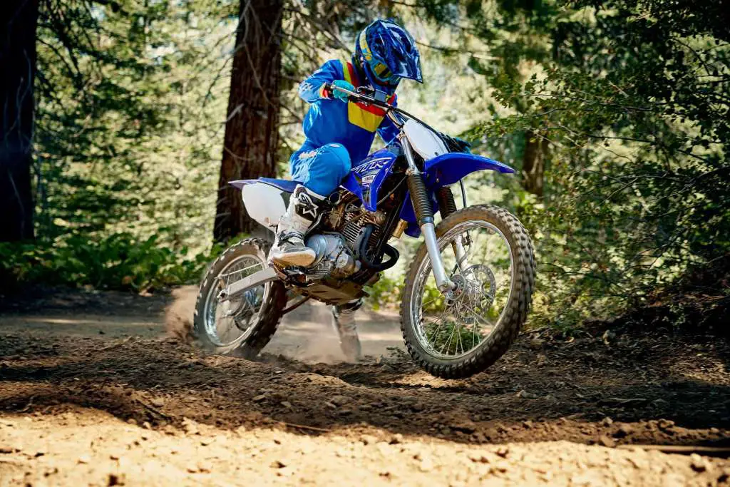 2019 Yamaha TT-R125LE