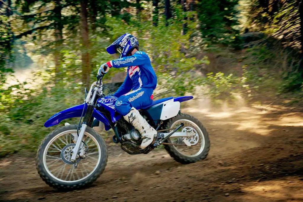 2019 Yamaha TT-R230