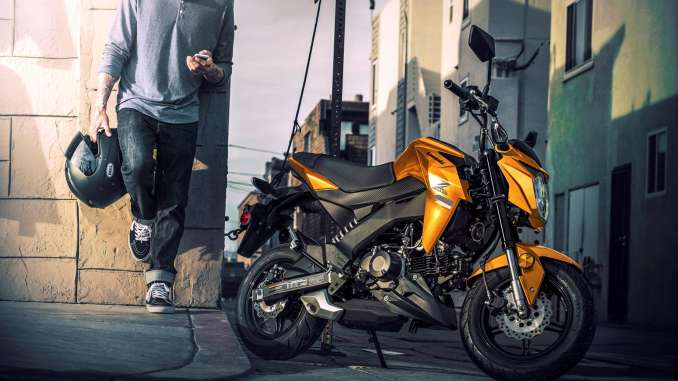 2019 Kawasaki Z125 Pro