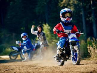 2020 Yamaha PW50