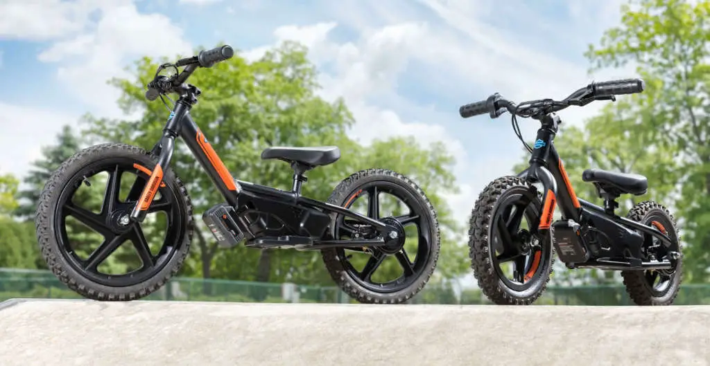 2021 Harley-Davidson IRONe12 IRONe16