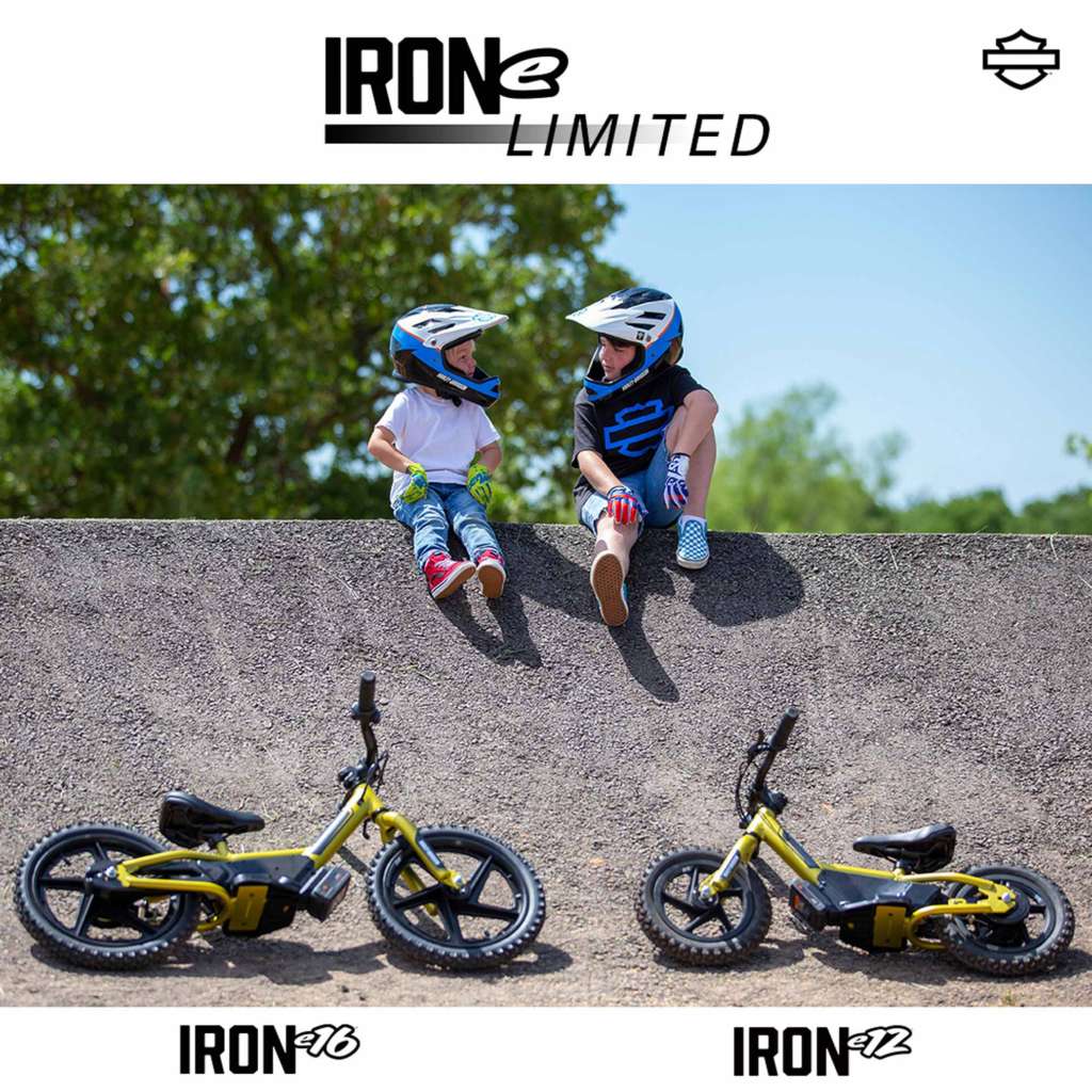 2021 Harley-Davidson IRONe12 IRONe16