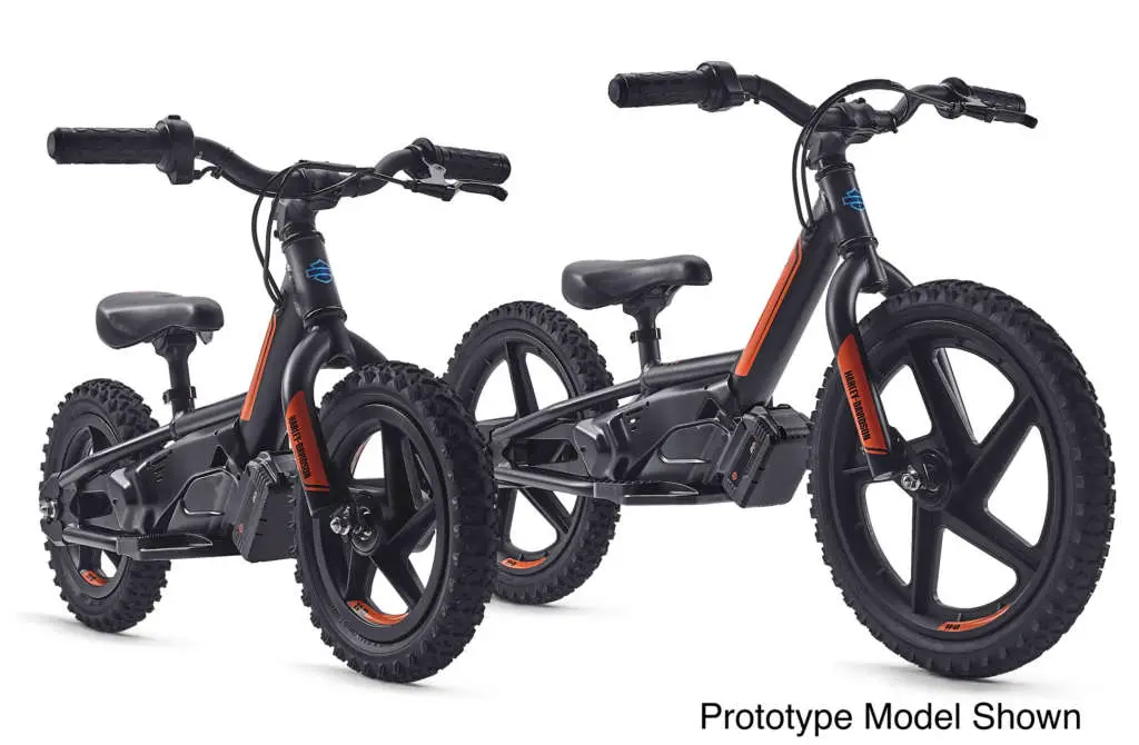 2021 Harley-Davidson IRONe12 IRONe16