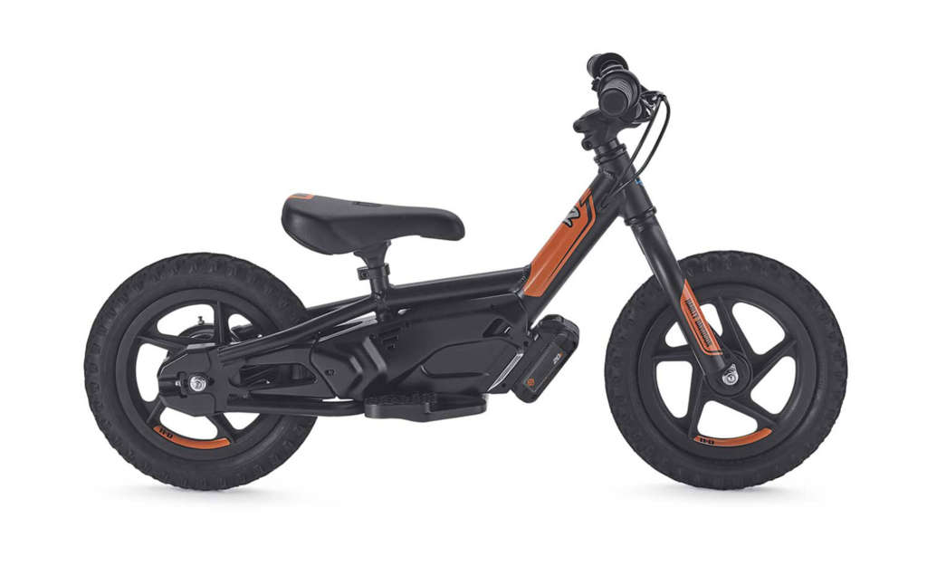 2021 Harley-Davidson IRONe12