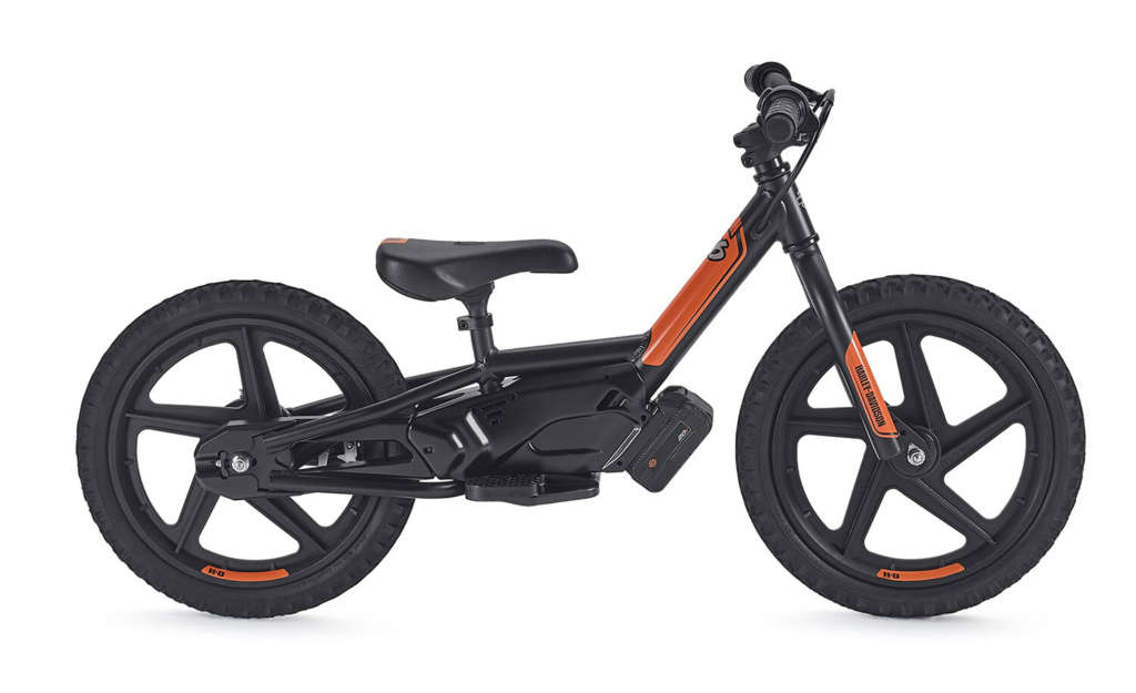 2021 Harley-Davidson IRONe16