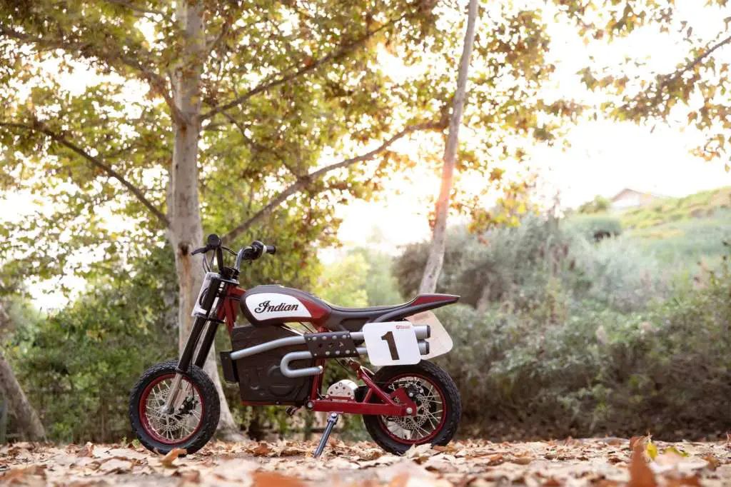 2021 Indian eFTR Jr