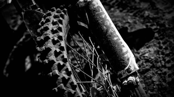Maxxis Logo