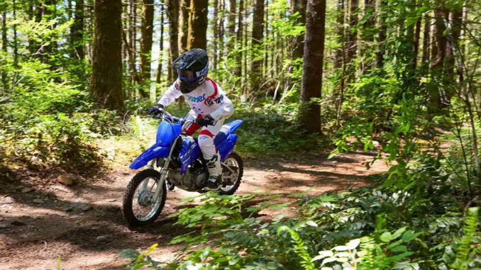 2026 Yamaha TT-R110