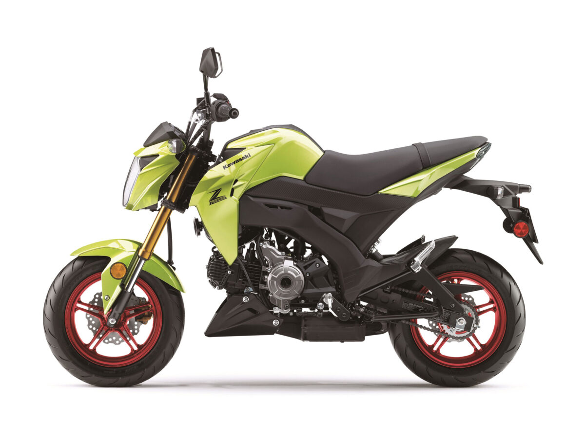 2026 Kawasaki Z125 Pro