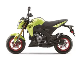 2026 Kawasaki Z125 Pro